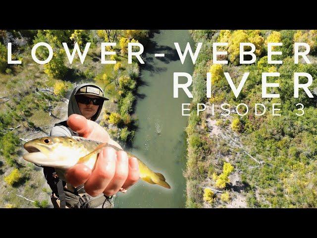 Rating Rivers Episode 3: The Lower Weber River (Utah Fly fishing)