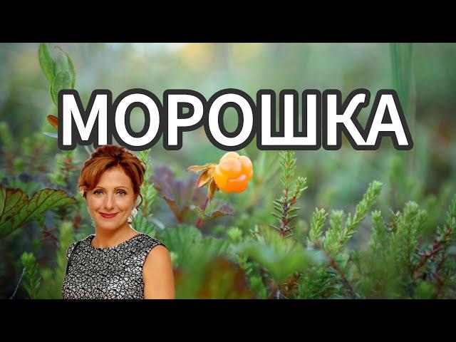 Морошка - Юлия Боголепова (слова Николая Рубцова)