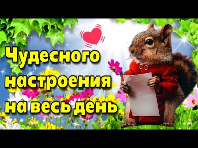 Самого доброго летнего утра! Благословенного дня!Красивая музыкальная открытка