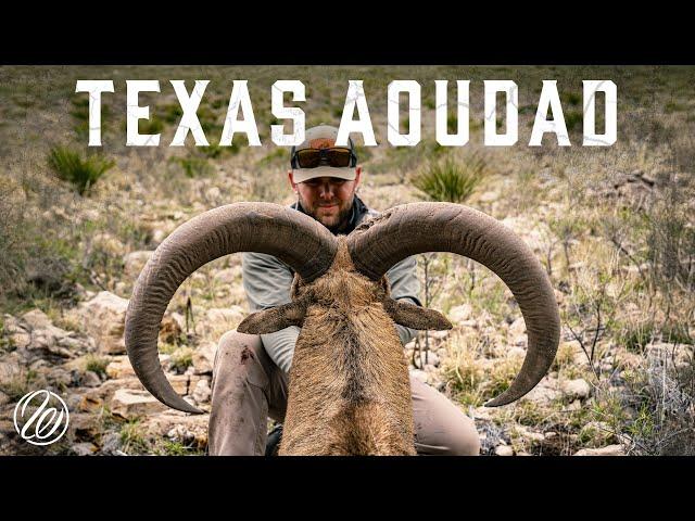 DOUBLE UP on Barbary Sheep - Hunting BIG Aoudad in the Mountains of West Texas