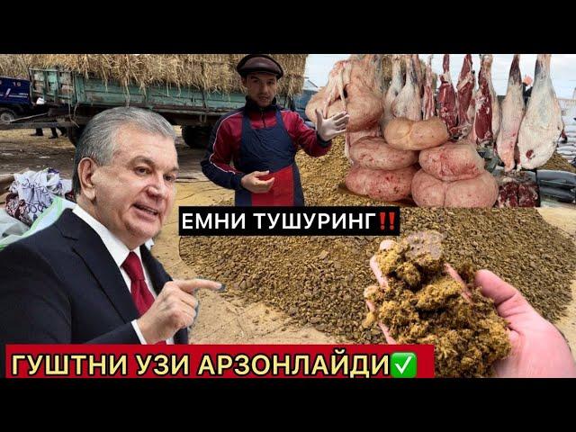 ДИККАТ! ЕМ-ХАШАК НАРХЛАРИ ЎЗГАРДИ: Кунжара, шрот, кепак, шелуха ва ўт | ТУРТКУЛЬ УРГЕНЧ ХОРАЗМ 2024