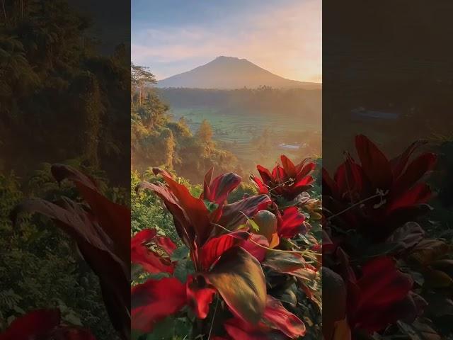 Агунг (Gunung Agung) – это действующий вулкан в восточной части Бали.