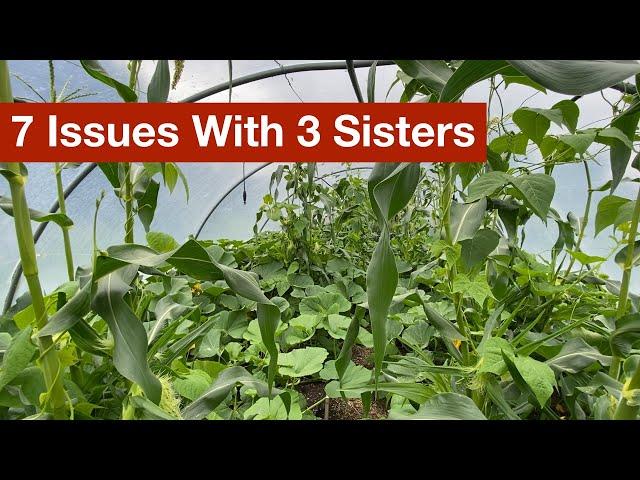 7 Mistakes I Made With The 3 Sisters