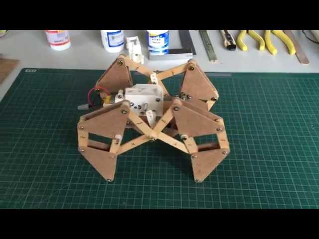 Home made Theo Jansen Mechanism