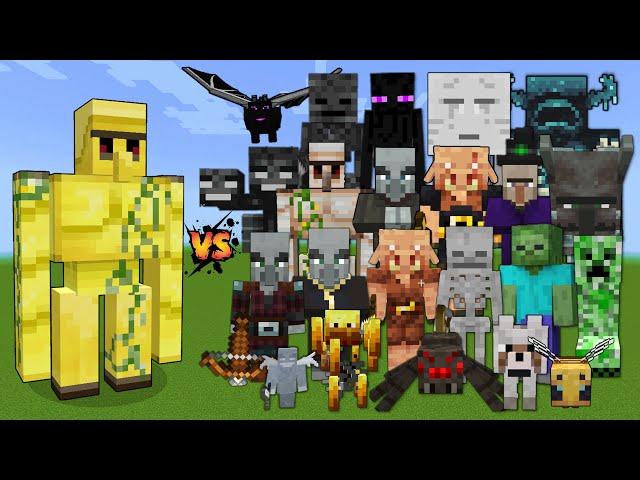 Gold Golem vs Every mob in Minecraft - Minecraft mob battle - Gold Golem vs All Mobs