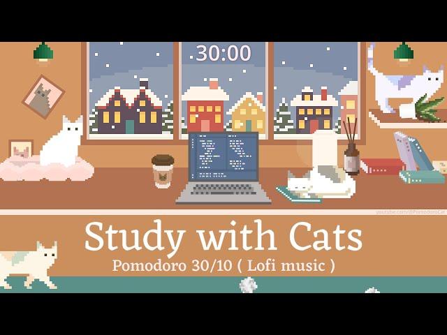 Study with Cats  Pomodoro Timer 30/10 x Animation | Snowy day study vibes: Warm room, Cats & Lofi