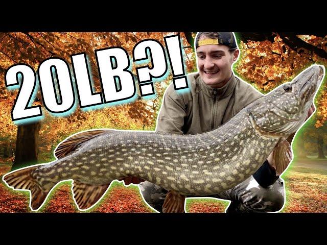 I CAUGHT the GINGER FISHERMAN'S 20LB URBAN canal PIKE!!! - UK winter pike fishing