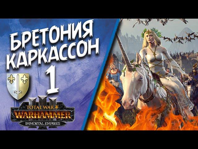 Total War: Warhammer 3 - (Легенда) - Каркассон #1 Vive la Reine