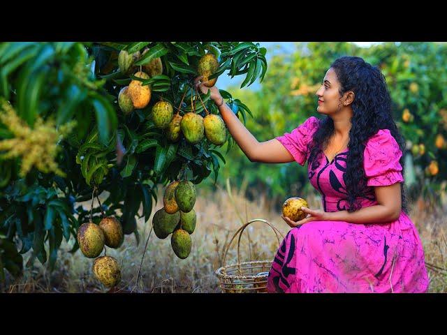 Homemade Mango Desserts  Making Lavaria, Coconut Roti & Mango Prawn Pickle with My Family