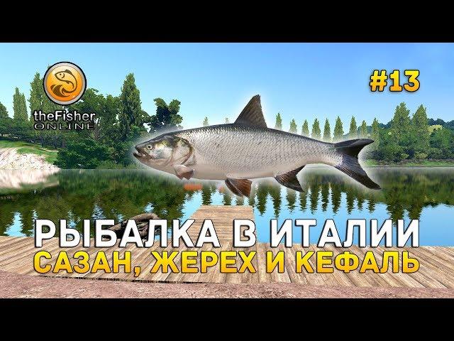 Рыбалка в Италии. Сазан, Жерех и Кефаль - theFisher Online #13