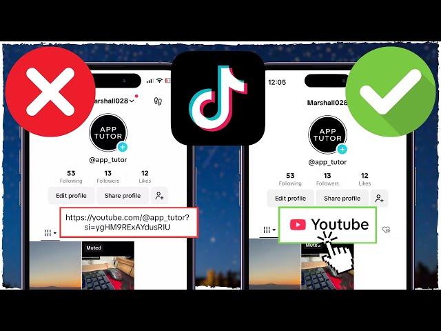 How to Add a Clickable Link To TikTok Bio 2024 (THE RIGHT WAY)