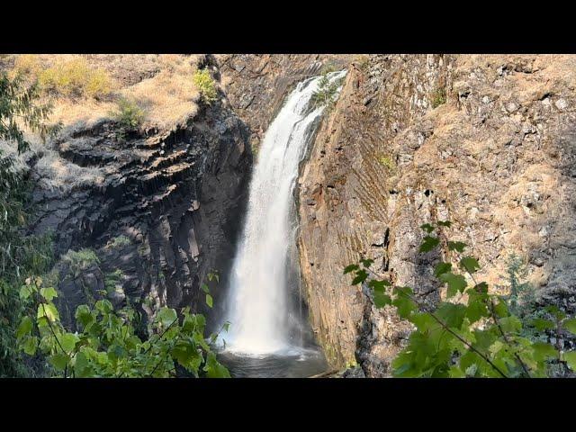 Swimming at the Amazing Elk Creek Falls!