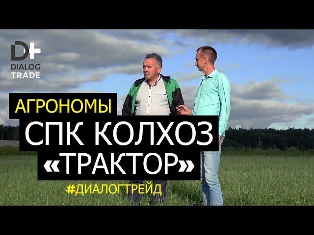 Как работает СПК колхоз Трактор | Зорин Василий Александрович #диалогтрейд