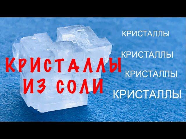 Как вырастить кристаллы | Морская соль VS Поваренная соль