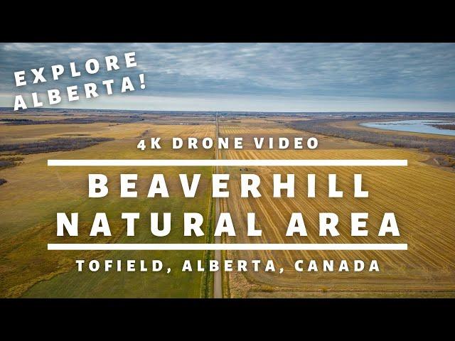 EXPLORING Beaverhill Natural Area in 4K | 60km From Edmonton Alberta Canada | Explore Alberta