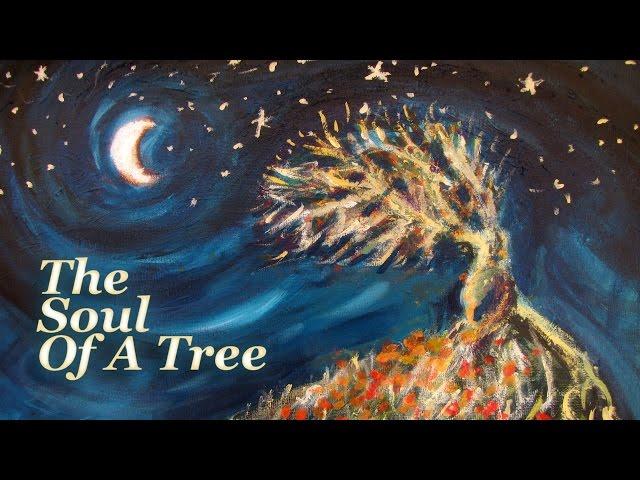 ~The Soul of a Tree~ Animation