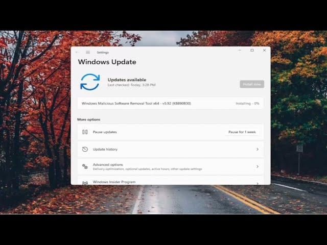 How To Clear Windows Update Cache and Fix Windows 11 Updates [Tutorial]