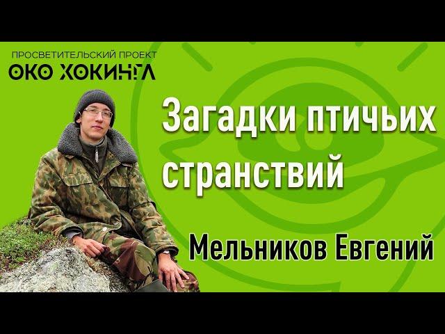 Евгений Мельников - Загадки Птичьих Странствий