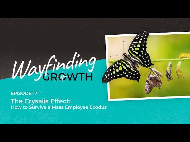 S2 EP17 The Chrysalis Effect: How to Survive a Mass Employee Exodus