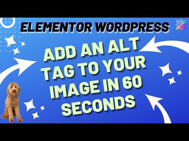 WordPress Elementor - Add an ALT Tag to your image.