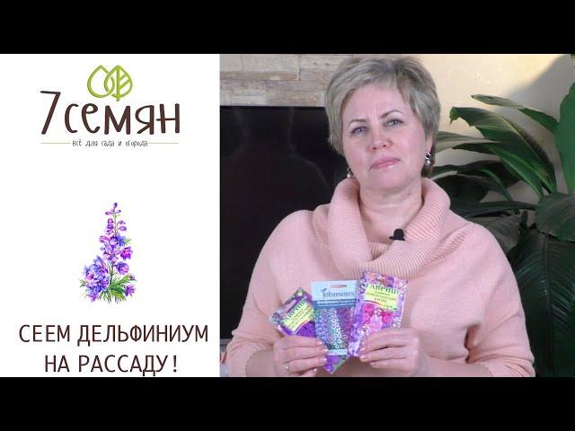 САМОЕ ВРЕМЯ ПОСЕЯТЬ ДЕЛЬФИНИУМ НА РАССАДУ!