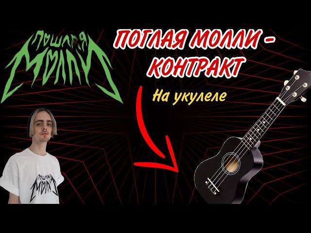 ПОШЛАЯ МОЛЛИ - КОНТРАКТ на укулеле | cover by flamyyx