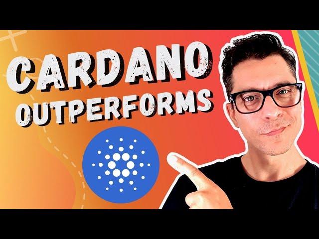 Cardano Outperforms The Competition | Crypto Corner ep561