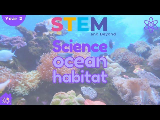 Ocean Habitats | Science For Kids Year 2 | STEM Home Learning