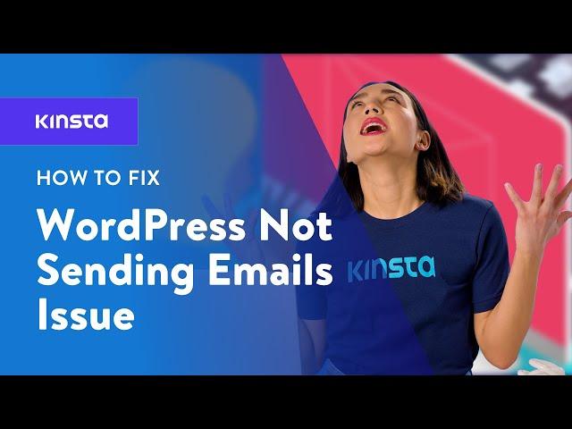 How to Fix the WordPress Not Sending Email Issue