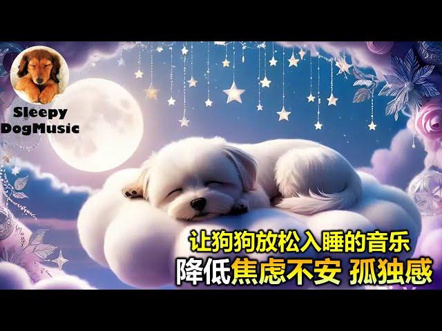 【狗狗也爱听音乐! 毛孩摇篮曲】8小时让狗狗深度放松的音乐小狗安眠音乐 宠物疗愈音乐    放松毛孩子的心情，降低焦虑和紧张情绪  放松你的狗狗  睡眠音乐 安抚放松你的狗狗