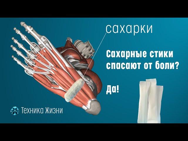 Как сделать сахарки | Техника Жизни