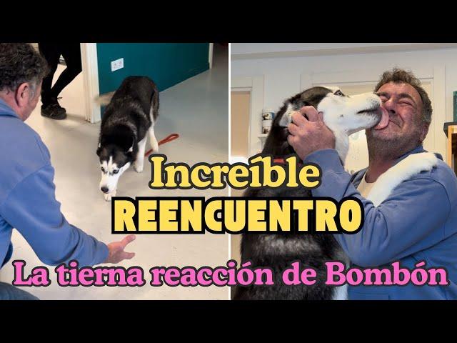 ¡INCREÍBLE REENCUENTRO! La TIERNA REACCIÓN de Bombón ️