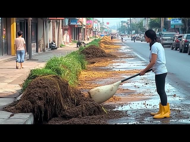 No One Believed There Was a Sidewalk... Until They Revealed a Massive Hidden Path | @CleanupMowing