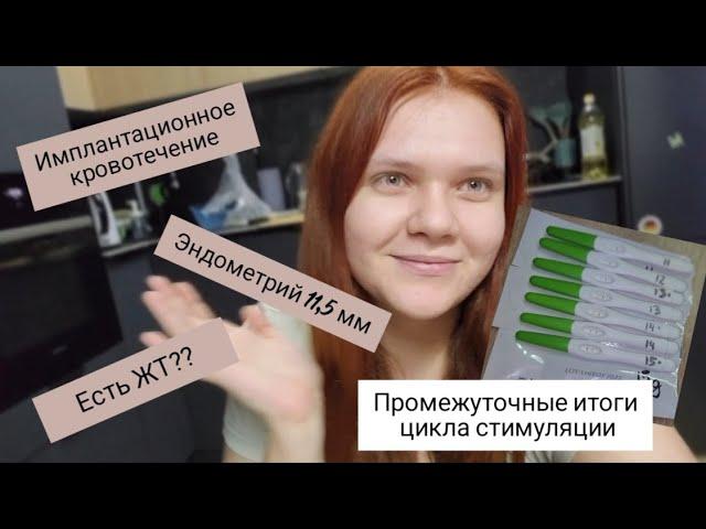 Дни после овуляции| Имплантационное кровотечение| Двойная овуляция?| 4 цикл планирования| Стимуляция