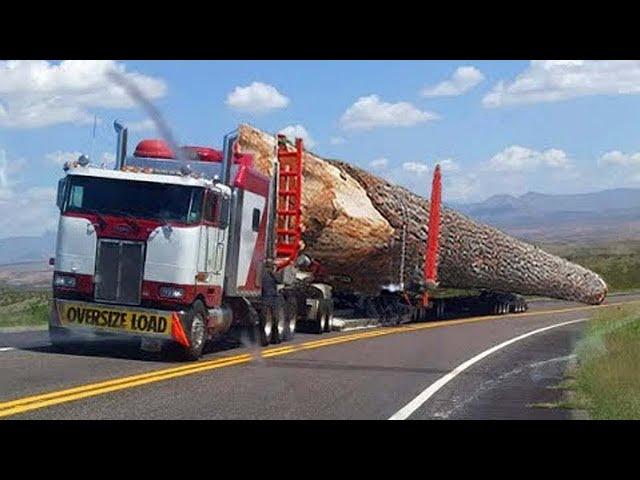 Extremely Dangerous Oversize Logs Truck. Famous Wood Processing Mill & Manufacturing Cable Drum