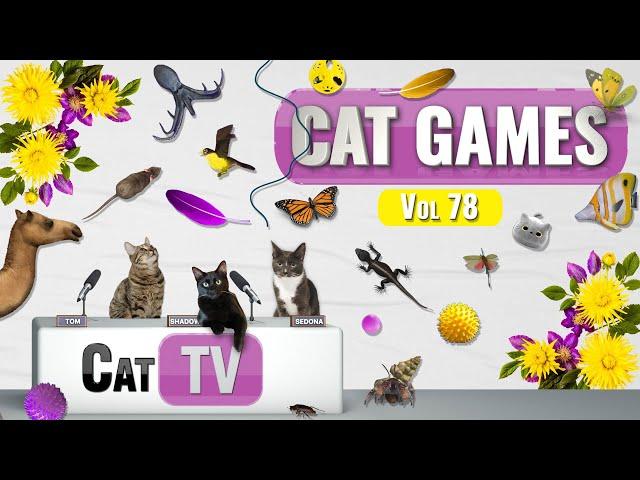 CAT Games | Ultimate Cat TV Compilation Vol 84 | 4 HOURS  