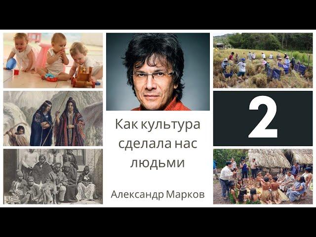 Как культура сделала нас людьми.  Часть вторая