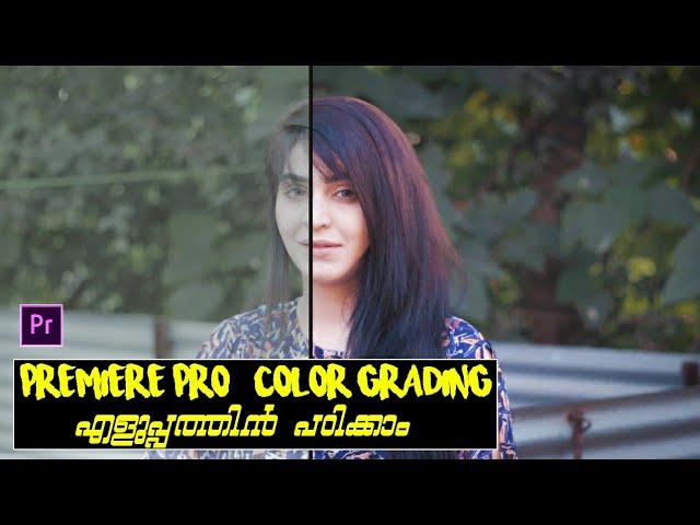 How to COLOR GRADE our videos in PREMIERE PRO | Malayalam Tutorial | Cinematic Look