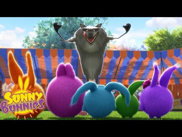 SUNNY BUNNIES - SEASON 1 MARATHON! | Cartoons for Kids