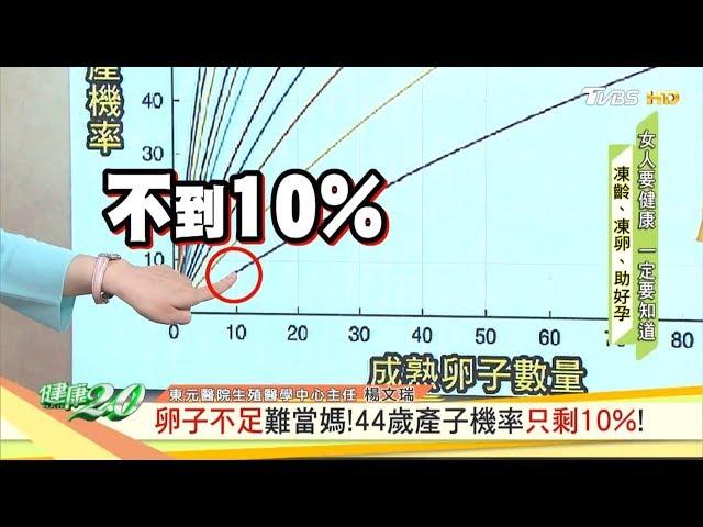 卵子不足難當媽！44歲產子機率只剩10%！ 健康2.0