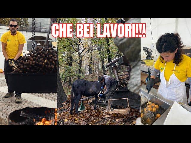 Tutto questo ci fa stare bene! - Ep. 577 - Vivere in Montagna