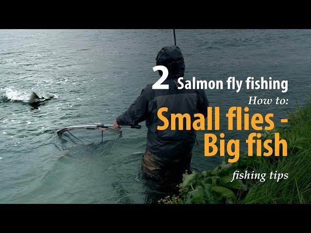 How to • Salmon fly fishing • Small flies - Big fish • fishing tips