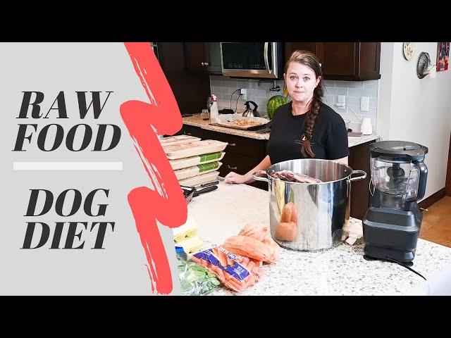 How to make Raw pet food - Barf diet