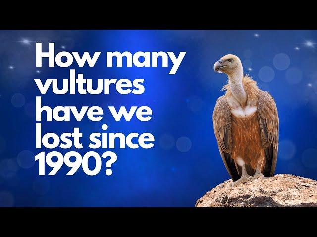 Amazing bird of prey Statistics! How many birds of prey species are there in the world?