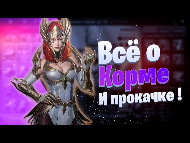 Всё о корме и его прокачке! | Raid: Shadow Legends