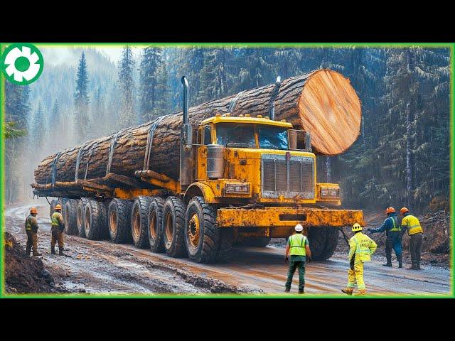 Extremely Jaw-Dropping Dangerous Monster Wood Truck Driving Skill | Biggest Heavy Machinery Machines