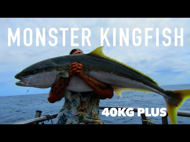 40kg PLUS KINGFISH