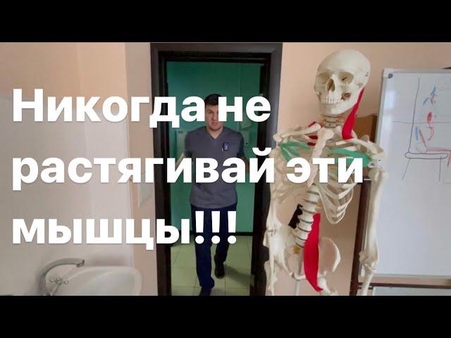 Эти мышцы запрещено растягивать каждому! Никогда не растягивай эти мышцы!