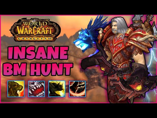 ONE BUTTON Spec is on RAMPAGE in PVP? - BEAST MASTERY Hunter Cataclysm Classic PvP