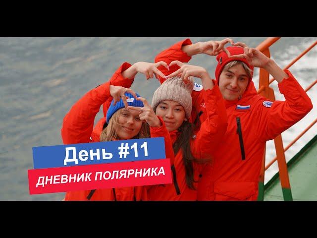 ДНЕВНИК ПОЛЯРНИКА / день 11 Возвращение в Мурманск